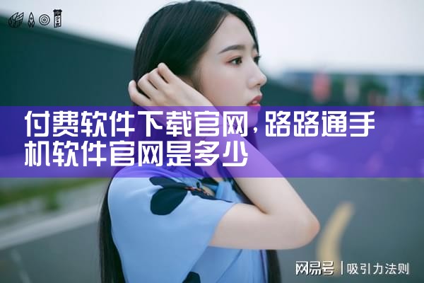 付费软件下载官网