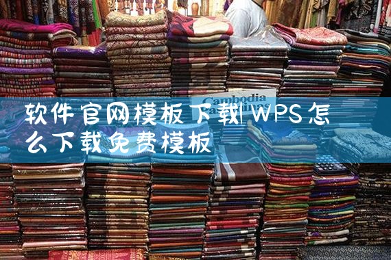 软件官网模板下载