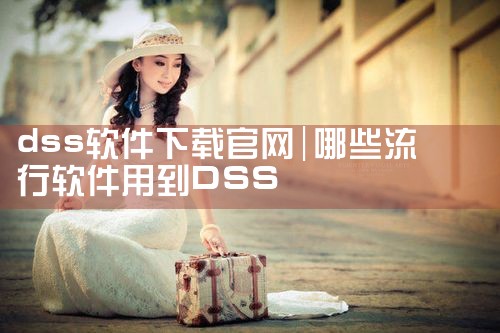 下载深发展信息平台软件