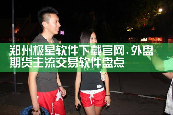 郑州极星软件下载官网
