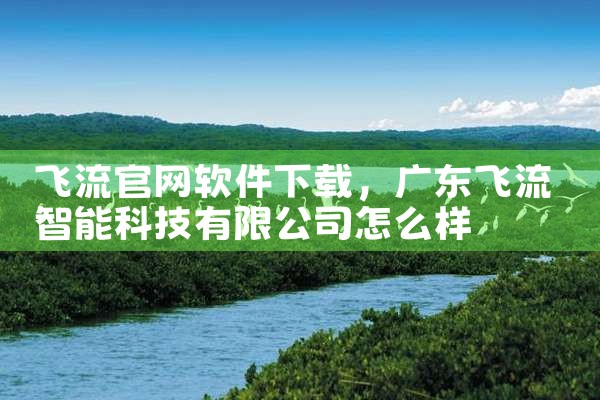 飞流官网软件下载