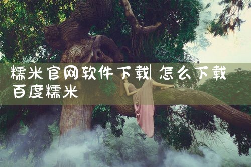 糯米官网软件下载