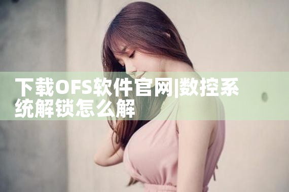 下载OFS软件官网