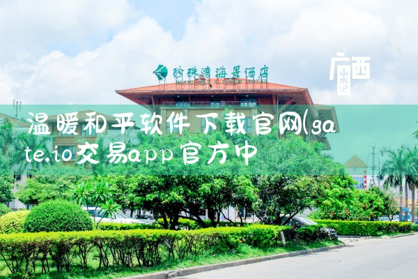 温暖和平软件下载官网