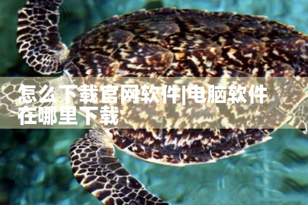 怎么下载官网软件