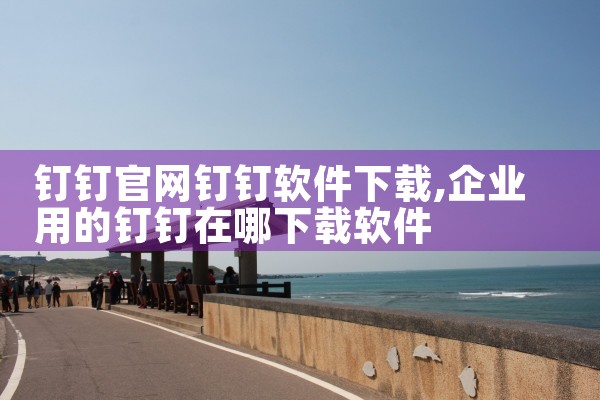 钉钉官网钉钉软件下载
