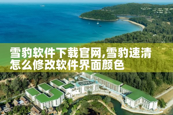 雪豹软件下载官网