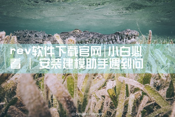 rev软件下载官网