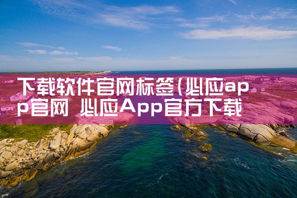 下载软件官网标签